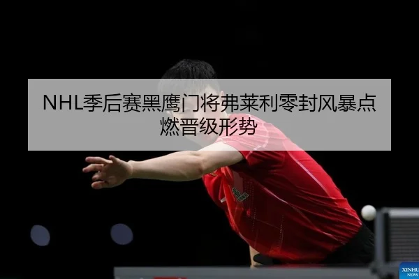 NHL季后赛黑鹰门将弗莱利零封风暴点燃晋级形势